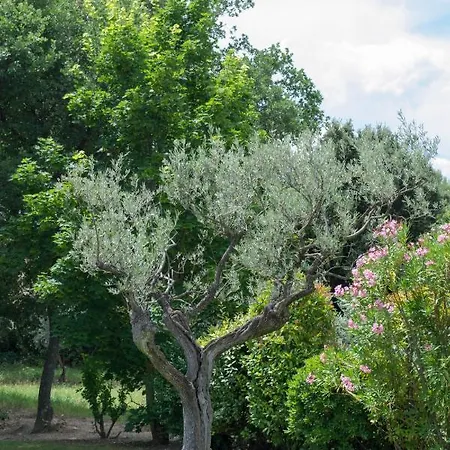 Le Bouquet De L Aromate * Joucas