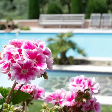 Le Bouquet De L Aromate * Joucas